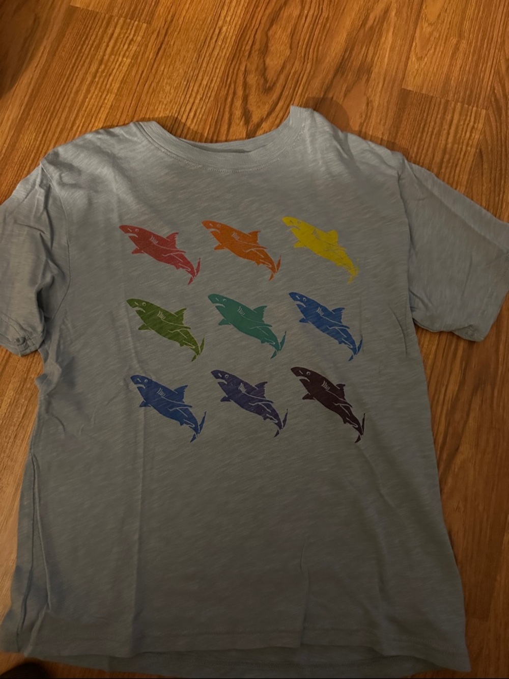 Crewcuts Blue Graphic Tee with Anchor Logo